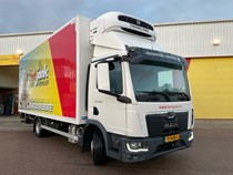 91-BXN-5 | MAN TGL 12.220